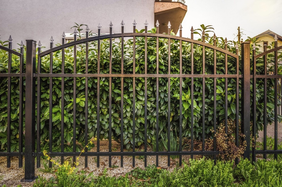 Wrought Iron Fencing services in Laredo, TX